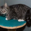 Rosco IMG_3429.jpg