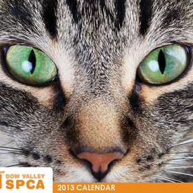 SPCA_Cal_2013_proof-5JP_Page_01.png