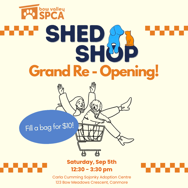 Shed Shop Grand Opening (1080 x 1080 px)