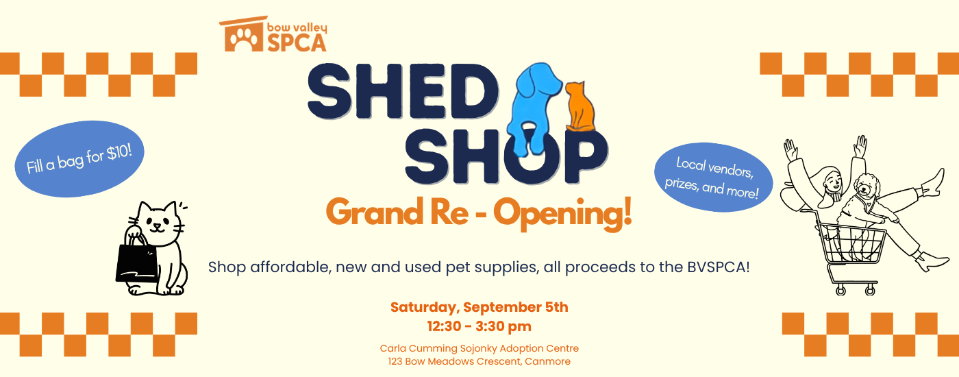 Shed Shop Grand Opening webiste