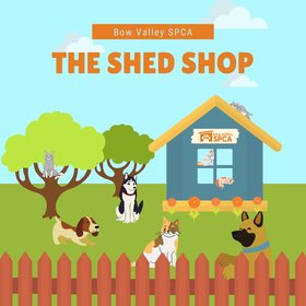 Shed Shop + Merch - Social Media
