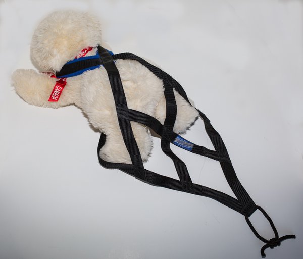 SkijouringIMG_9261-Edit.jpg