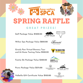 Spring Raffle - Social Media.png