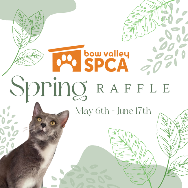 Spring Raffle SM 2022 (2).png