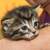 Sunny-IMG_6161.jpg