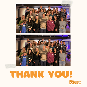 THANK YOU! (1080 x 1080 px)