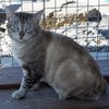 Dude IMG_3417.jpg