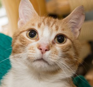 TrevorIMG_4022.jpg