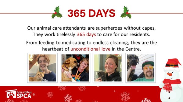 VolunteerReception-ACAs.pptx