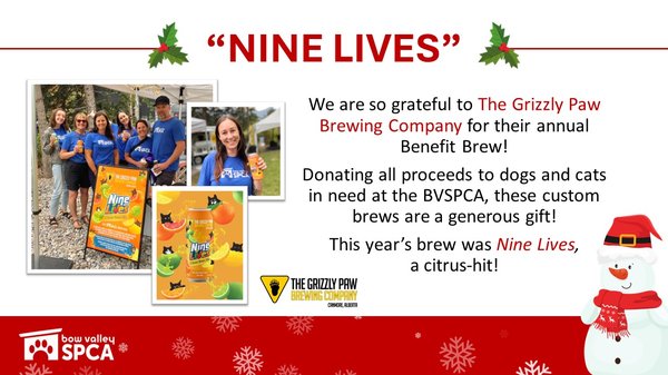 VolunteerReception-BenefitBrew