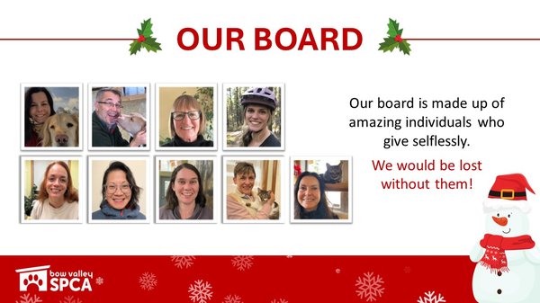 VolunteerReception-Board