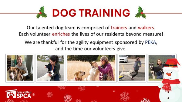 VolunteerReception-DogTraining