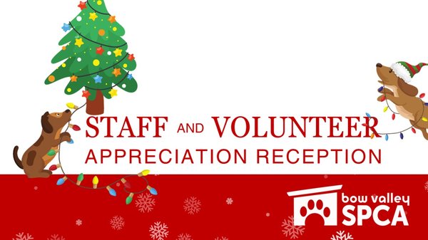 VolunteerReception-FinalPresentation