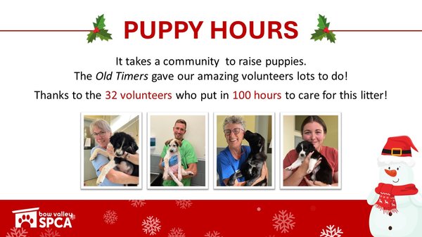 VolunteerReception-PuppyHours