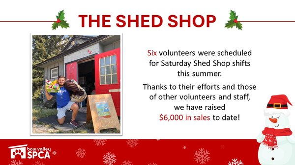 VolunteerReception-ShedShop
