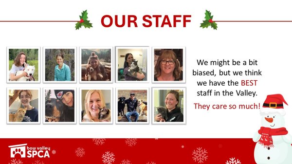 VolunteerReception-Staff