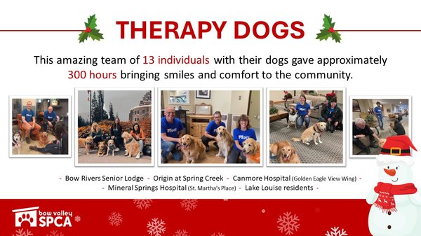 VolunteerReception-Therapy