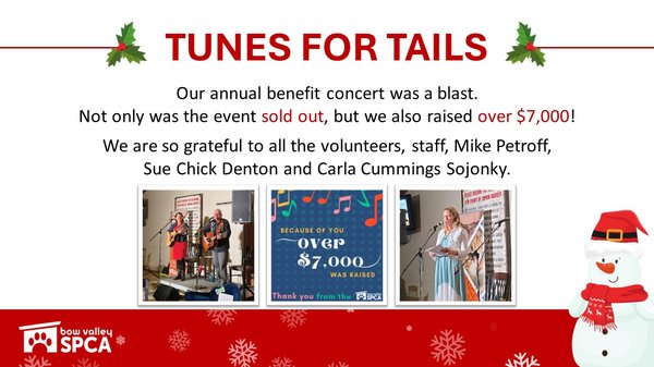 VolunteerReception-TunesforTails