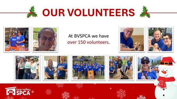 VolunteerReception-Volunteers1