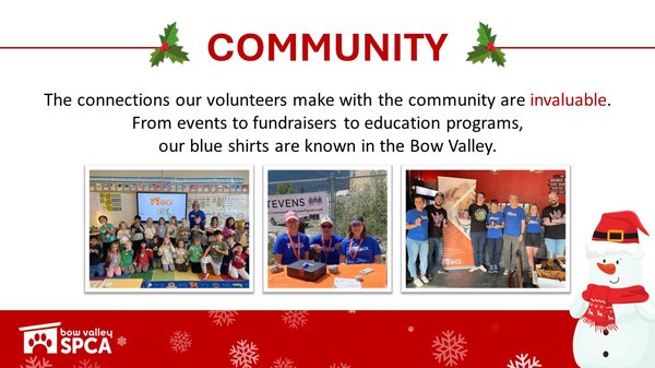 VolunteerReception-Volunteers4