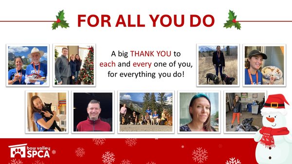 VolunteerReception-Volunteers6