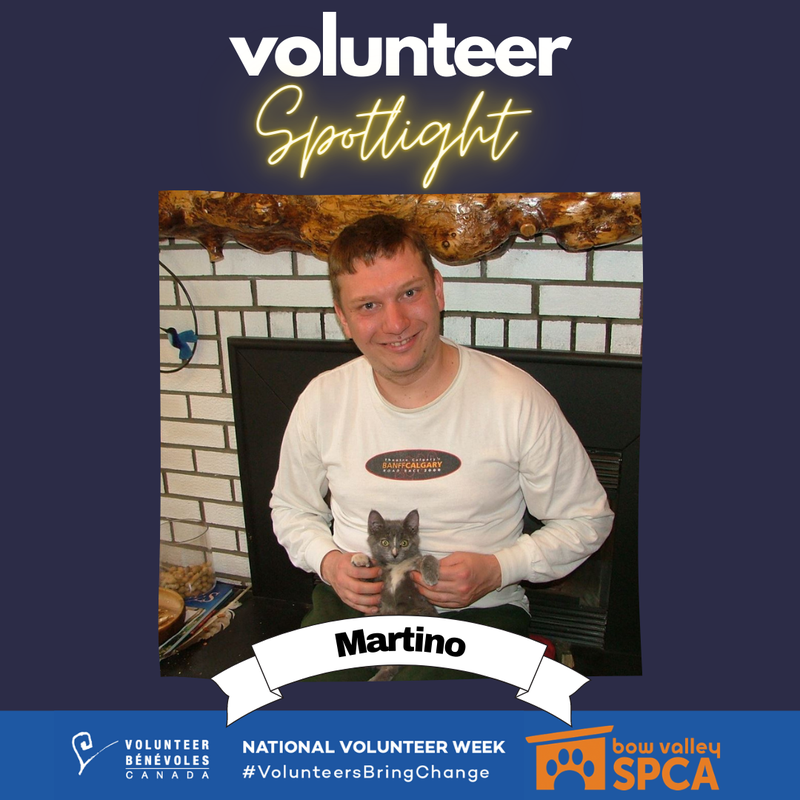 Volunteer Spotlight.png