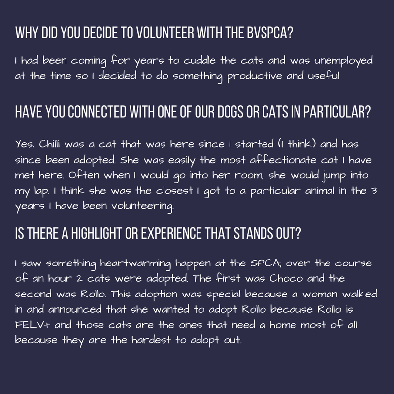 Volunteer Spotlight (1).png