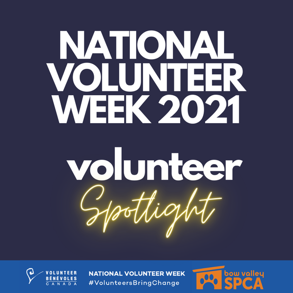 Volunteer Spotlight (4).png