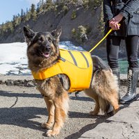 Dog training Menu