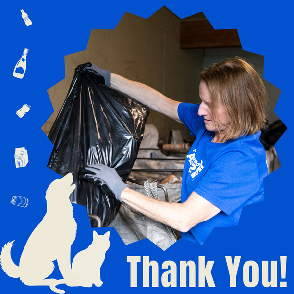 Web News - Bottle Drive - Thank You