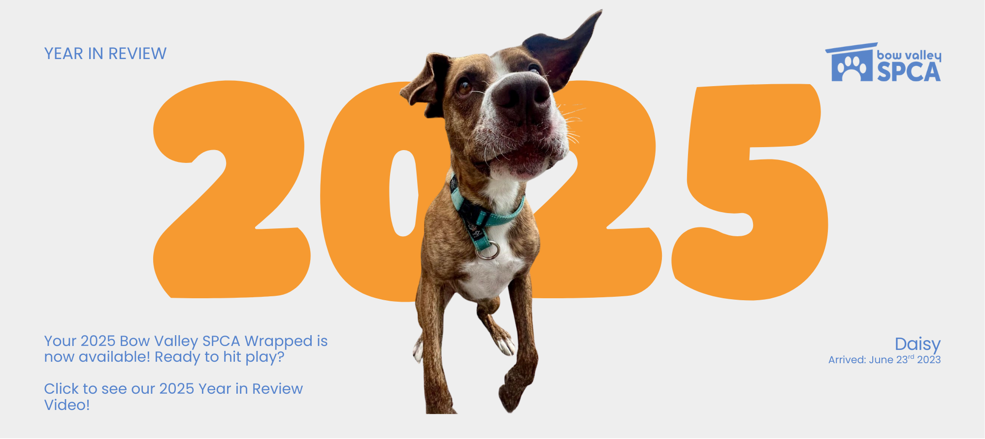 Website banner for 2025 Wrapped Video Link (1)