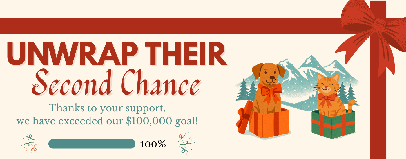 Winter Campaign - 2025 - Unwrap their Second Chance (6)