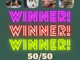 Winter Campaign Instagram Graphic (3).png