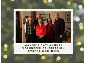 Winter Fundraiser - Logos and Square Template (1)