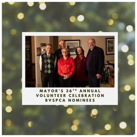 Winter Fundraiser - Logos and Square Template (1)