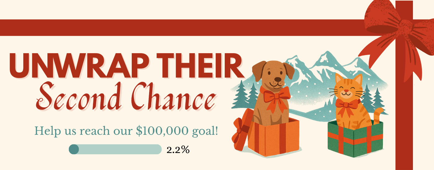 Winter Fundraiser - Website Banner - (1400 x 550 px) (4)