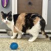 Zoey - 4