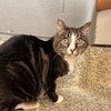 Clawdia - 1
