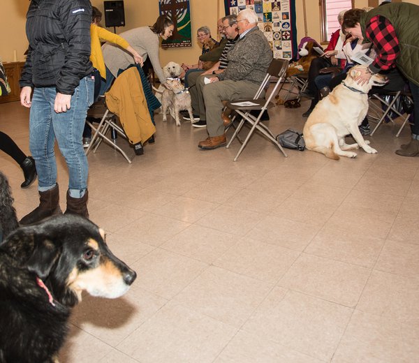 Blessing of the Animals--2018