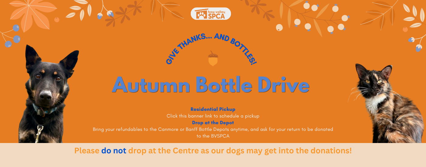 bottle drive octobr 2026