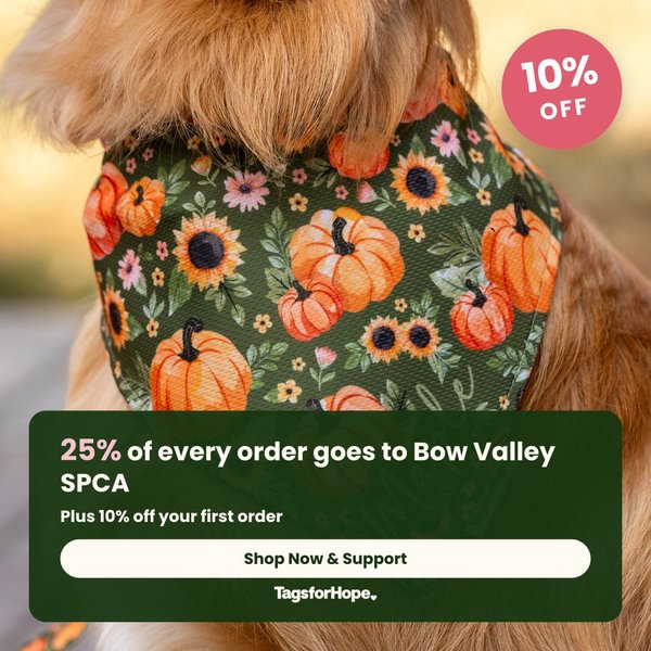 bowvalleyspca-tagsforhope-square