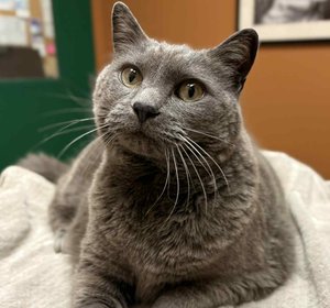 ce46d6be-fa92-4d9c-bd2f-5bf0d0fa2e9e