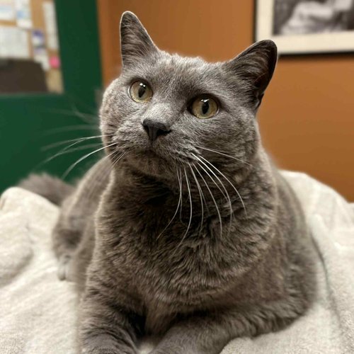 ce46d6be-fa92-4d9c-bd2f-5bf0d0fa2e9e