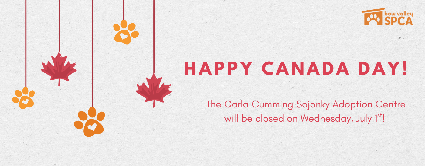happy canada day! Website Banner  (1400 x 550 px)