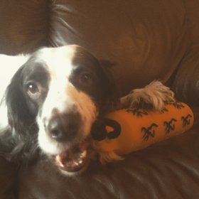 ladycouchtoy.jpg