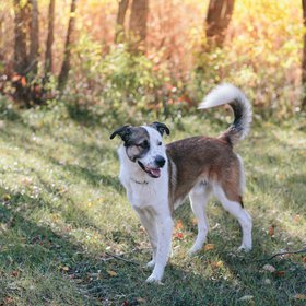 october rommel (1 of 13).jpg