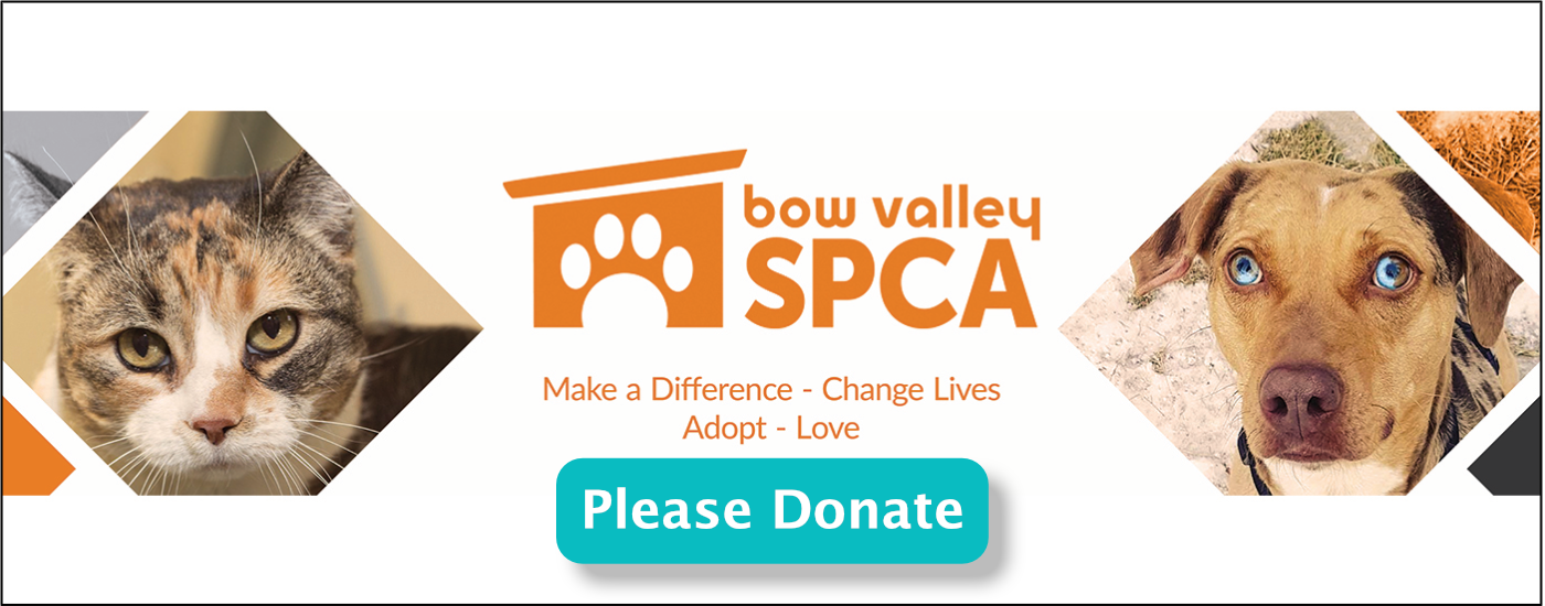 bow valley humane society