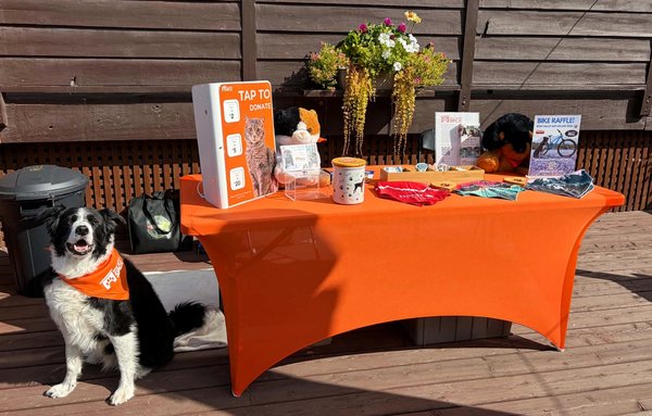 spca table sup