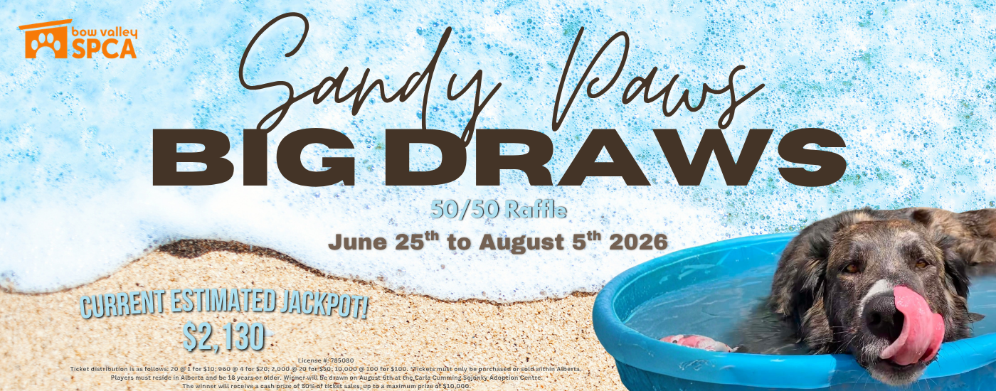 spring 26 raffle banner - july 21