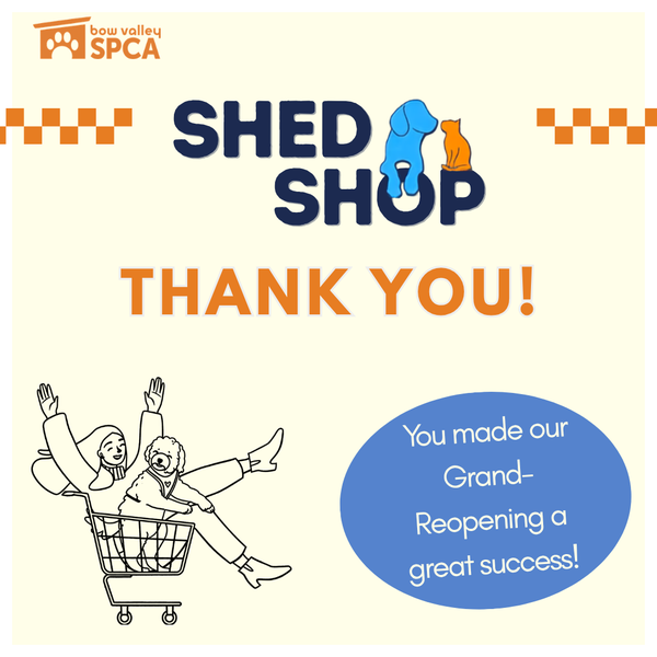 thank you shed shop website